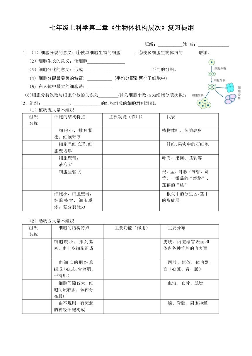 七年级上册科学 第2章《观察生物》复习提纲 （含答案）