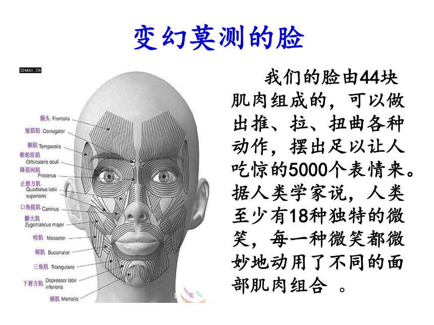 四年级下册心理健康课件-第七课 身体“会说话”—解读肢体语言｜辽大版  （58张PPT）