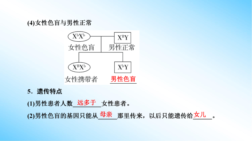 【课件版学案】2-3 伴性遗传 人教版2019必修2(共77张PPT)