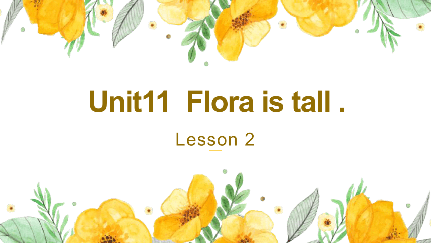 新概念英语（青少版）入门A Unit11 Flora is tall  Lesson2 同步课件