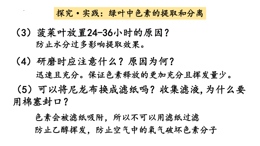 5.4光合作用与能量转化课件（65张ppt）2022-2023学年高一上学期生物人教版（2019）必修1