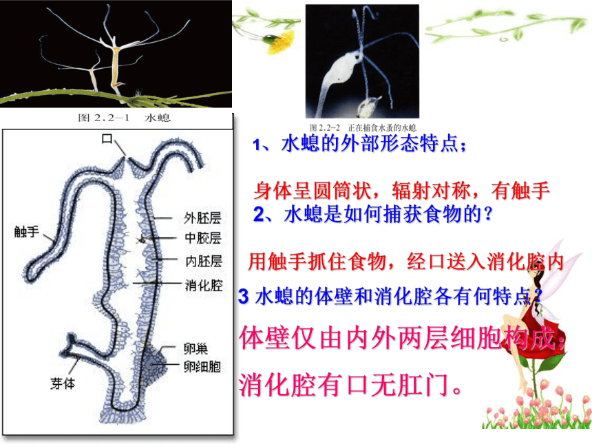 济南版 七年级生物 期末复习（89张PPT）