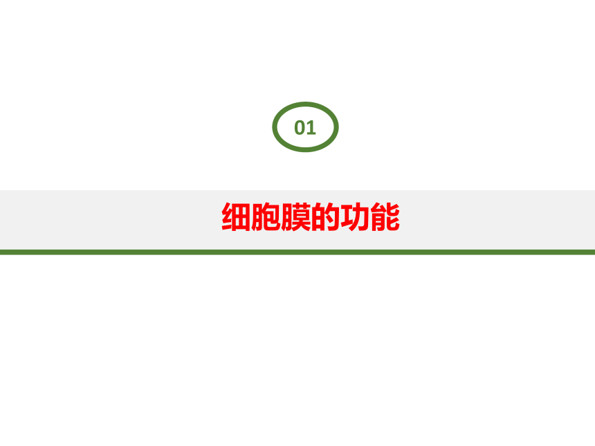 2021-2022学年高一上学期生物人教版必修一3.1细胞膜的结构和功能课件（共39张PPT）