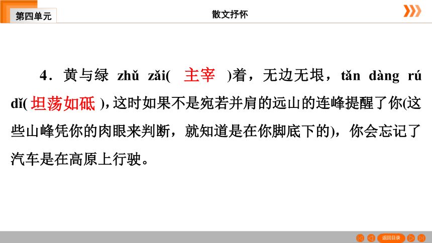 15 白杨礼赞习题课件（共49张幻灯片）