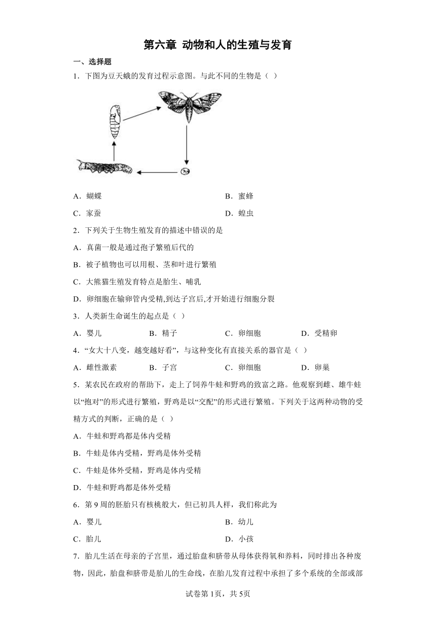 第6章 动物和人的生殖与发育 练习（含答案）