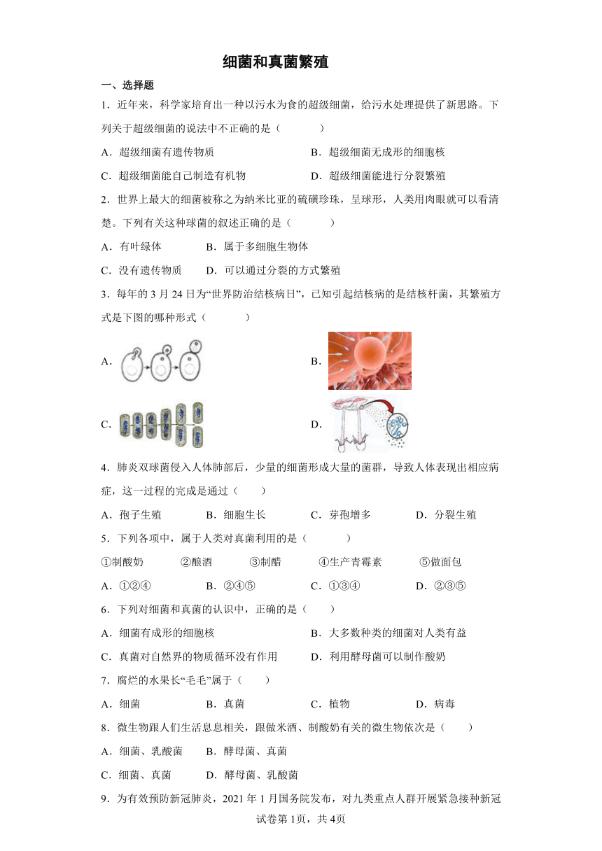 2022年浙江省中考科学专题练习：细菌和真菌繁殖（含答案）