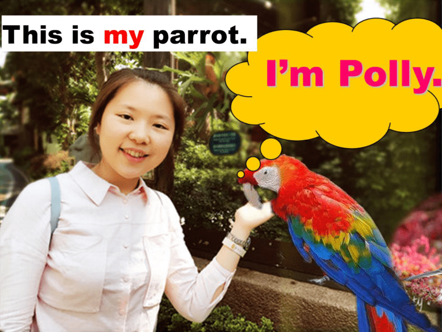 Unit 5 It's a parrot.Lesson 30  Revision 课件(共19张PPT)