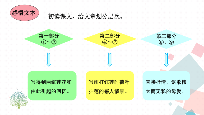 7 散文诗两首《荷叶·母亲》课件(共13张PPT)