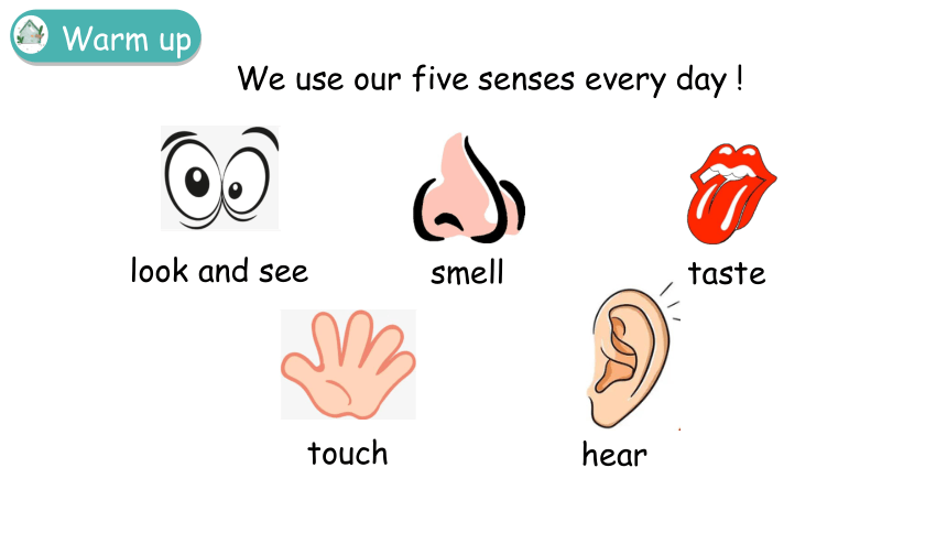 Module 1 Using my five senses Revision 课件(共30张PPT)