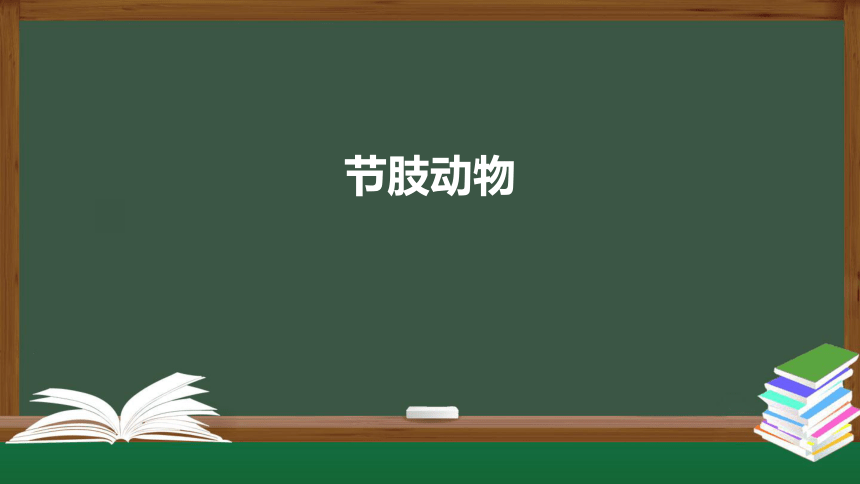 初中生物人教版（新课程标准）八年级上册第五单元生物圈中的其他生物节肢动物 课件（27张PPT）