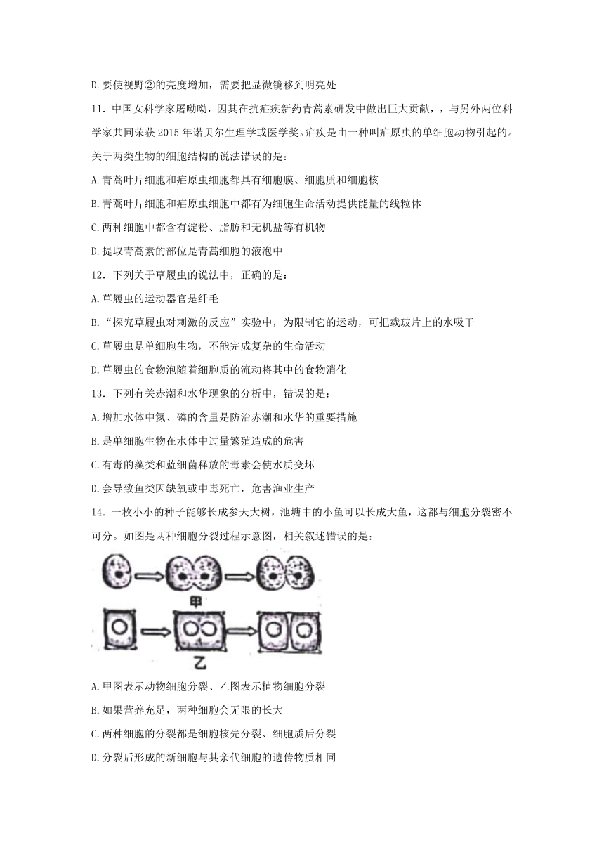 山东省泰安市新泰市2021--2022学年六年级上学期生物期末考试（word版无答案）