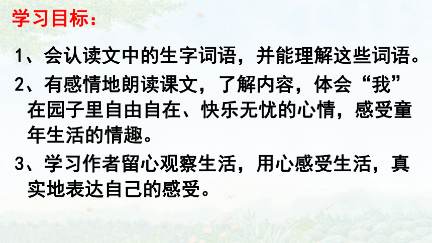 2 祖父的园子 第一课时 课件