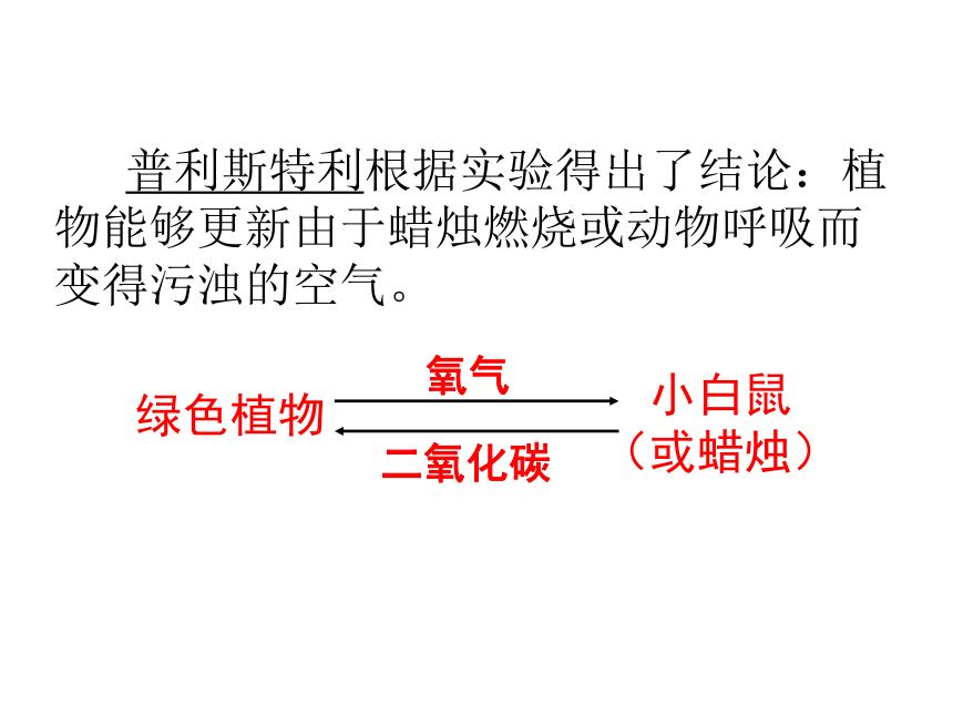 3 5.1光合作用吸收二氧化碳释放氧气课件(共32张PPT)2022--2023学年人教版生物七年级上册