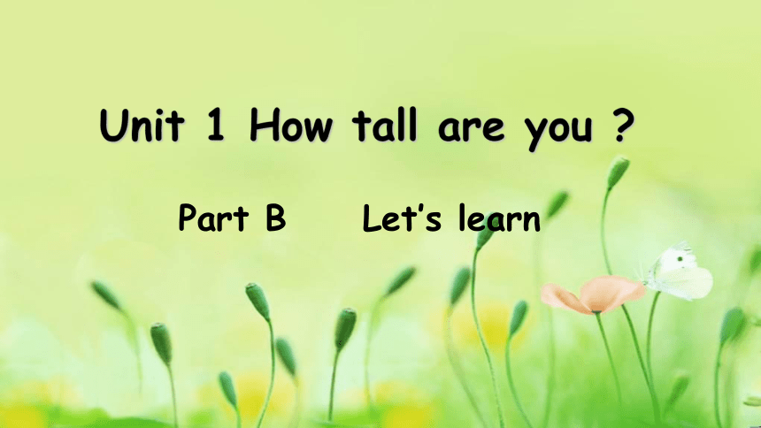 Unit 1 How Tall Are You? Part B Let's Learn 课件(共17张PPT)-21世纪教育网