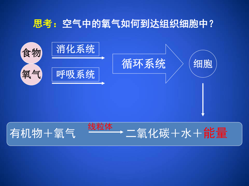 北师大版 七下 4.10.2.人体细胞获取氧气的过程课件（第1课时）（51张ppt）