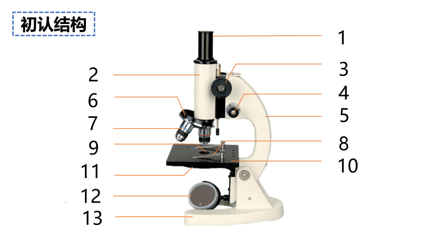 2.1.1练习使用显微镜课件(共21张PPT)人教版初中生物七年级上册