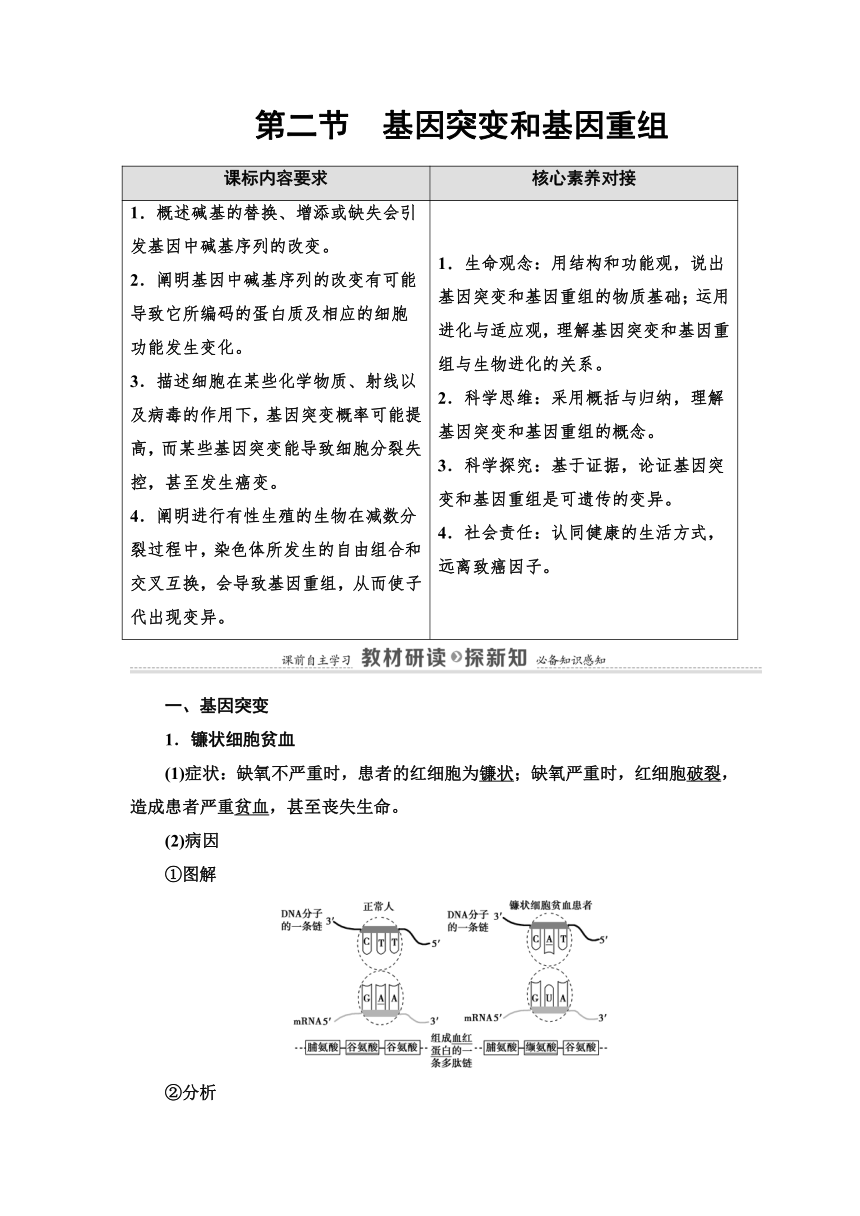 2020-2021学年苏教版（2019）高中生物： 必修2 第3章 第2节 基因突变和基因重组 教案 （Word版含答案）