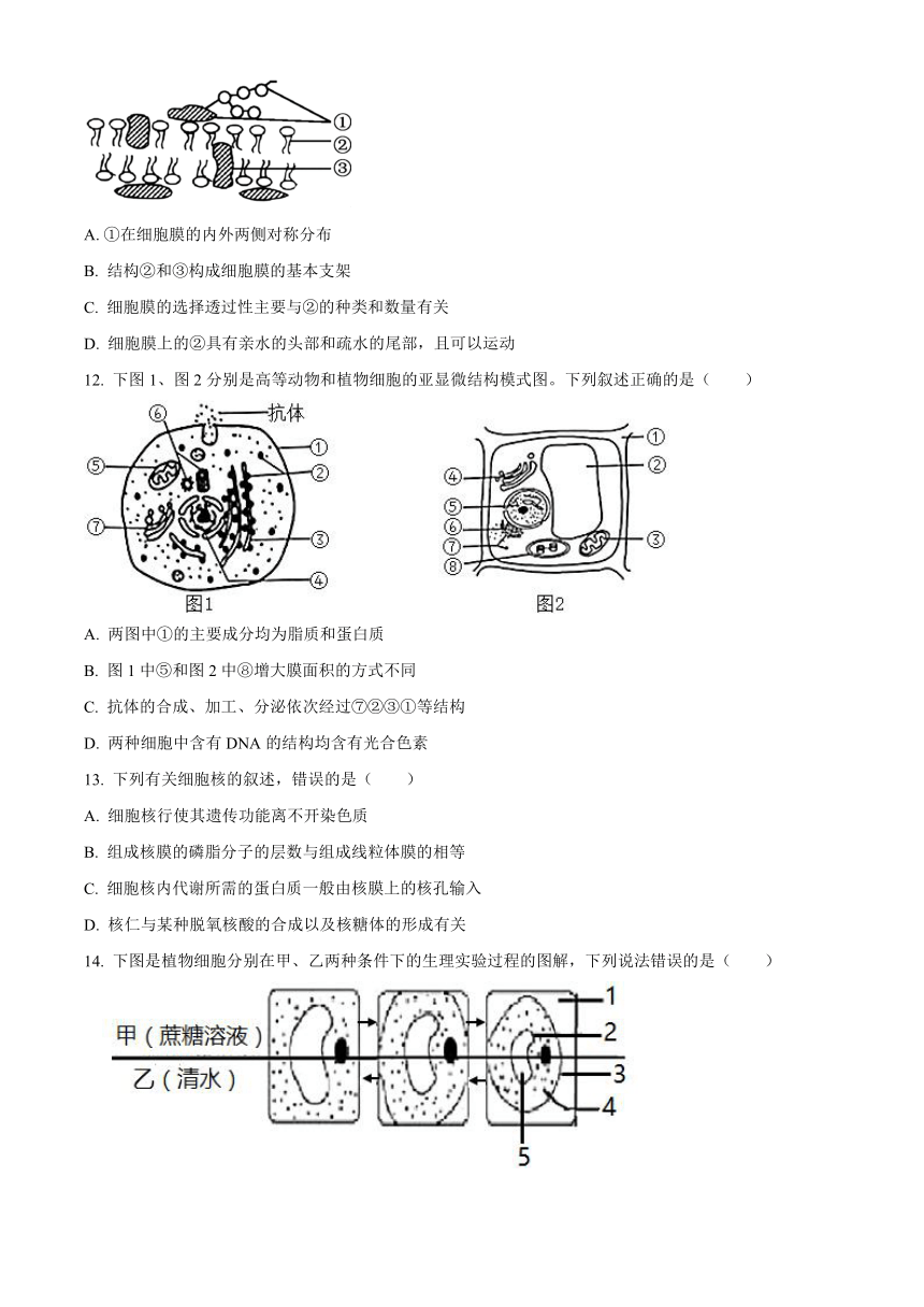 黑龙江省省实中2020-2021学年高一下学期3月开学考试生物试题     含答案