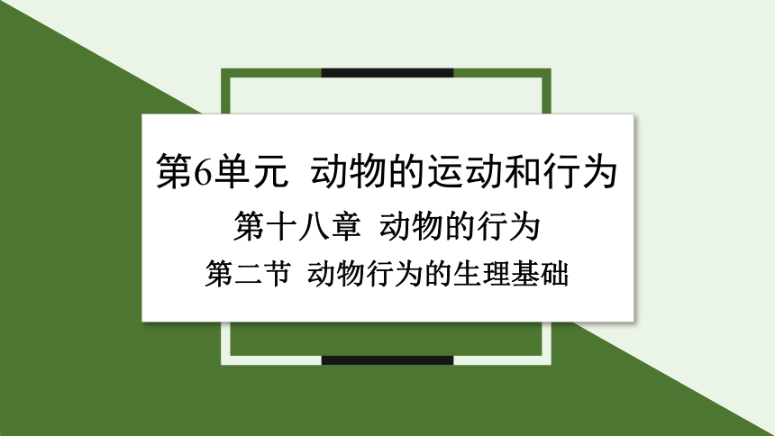 6.18.2 动物行为的生理基础课件(共22张PPT)2023-2024学年初中生物苏教版八年级上册