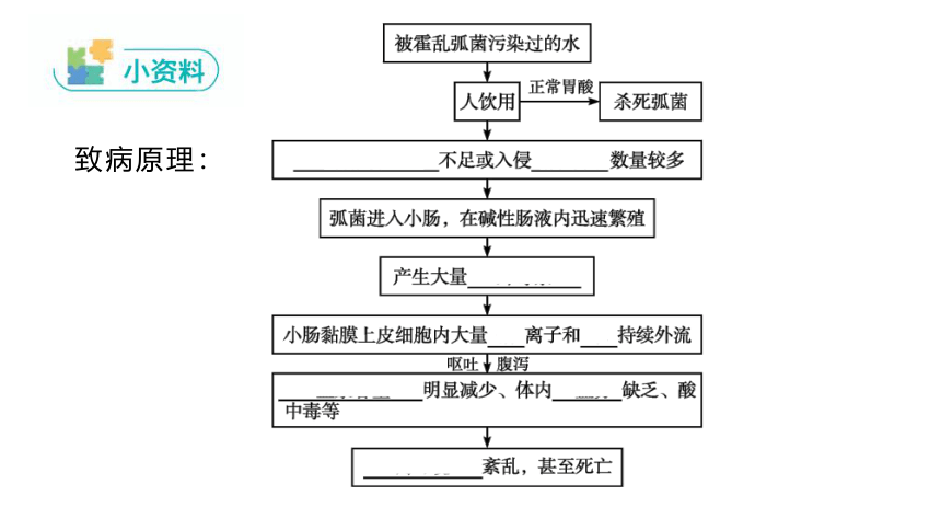 1.2内环境的稳态保障正常生命活动课件2022-2023学年高二上学期生物浙科版选择性必修1