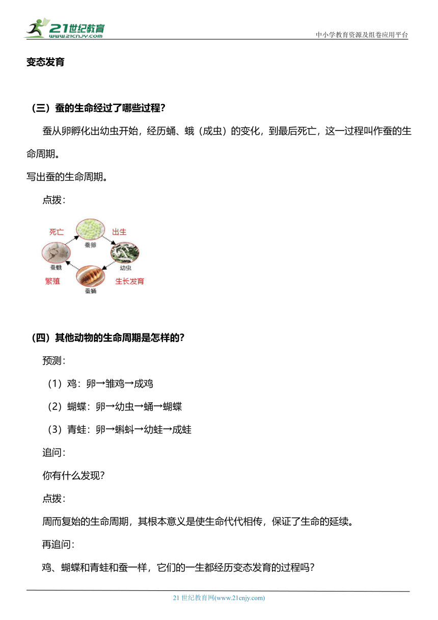 （核心素养目标）2.8 蚕的一生  教案设计