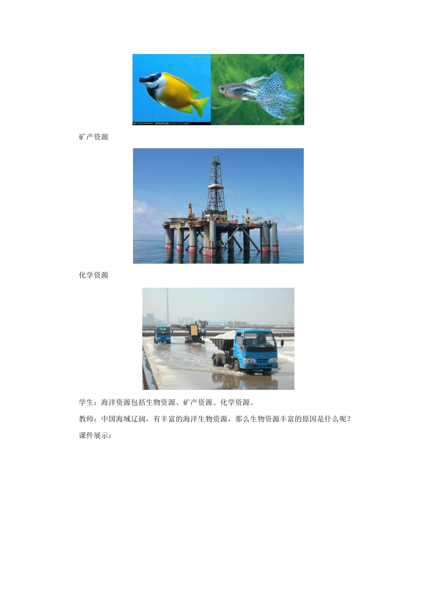2022-2023学年湘教版地理八年级上册3.4中国的海洋资源教案