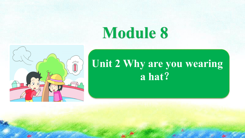 Module 8  Unit 2 Why are you wearing a hat? 课件（16张PPT）