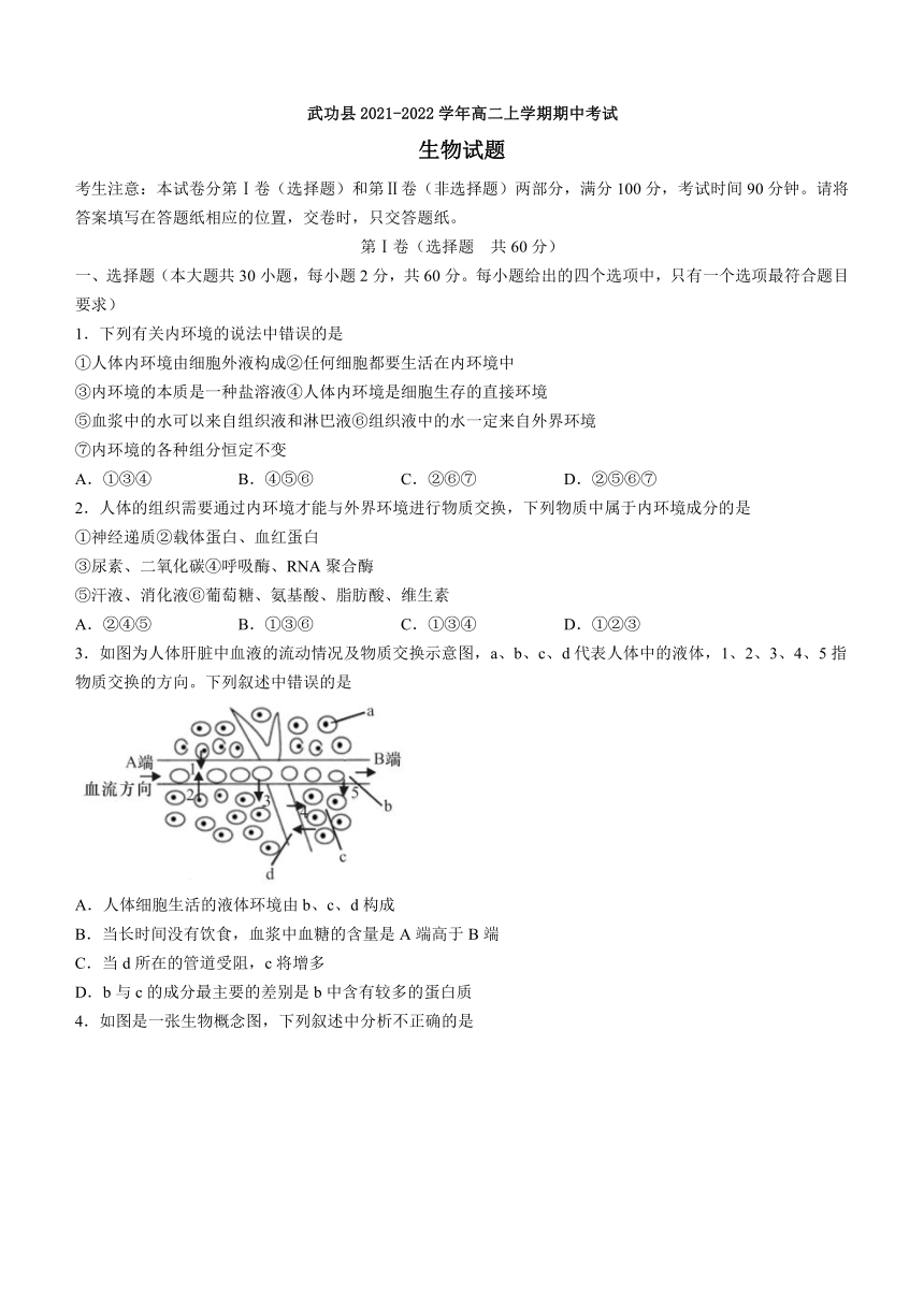 陕西省咸阳市武功县2021-2022学年高二上学期期中考试生物试题（Word版含答案）