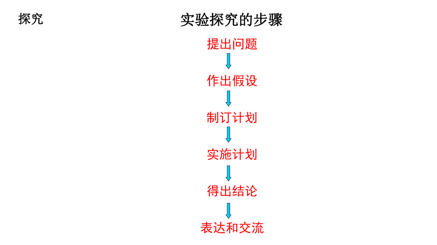 初中生物人教版七年级上册1.2.1生物与环境的关系（第二课时）课件(共20张PPT)