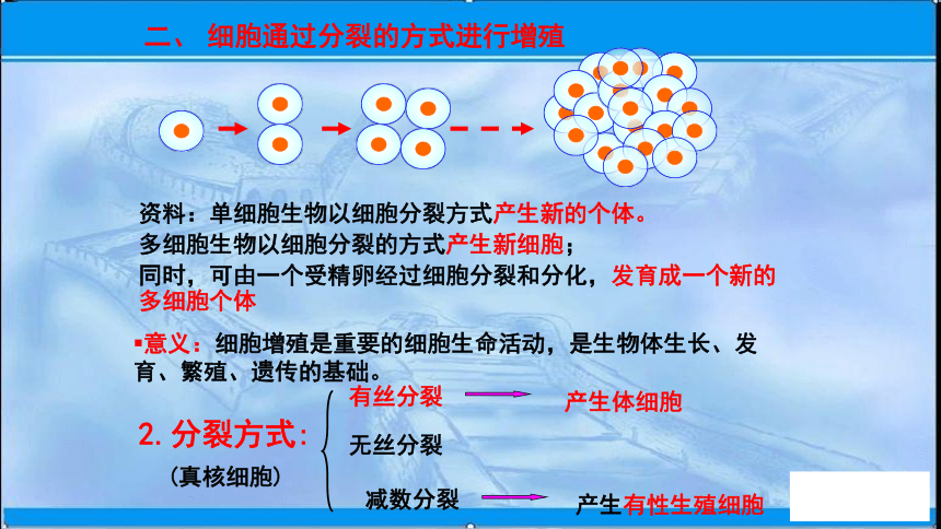 2020-2021学年苏教版（2019）高中生物： 必修1  1.1 细胞中的元素和化合物 课件（56张）