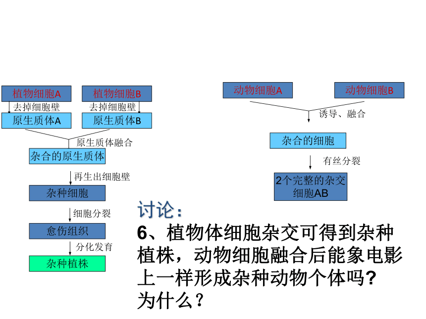 &2.2.2动物细胞的融合与单克隆抗体课件（共69张PPT）