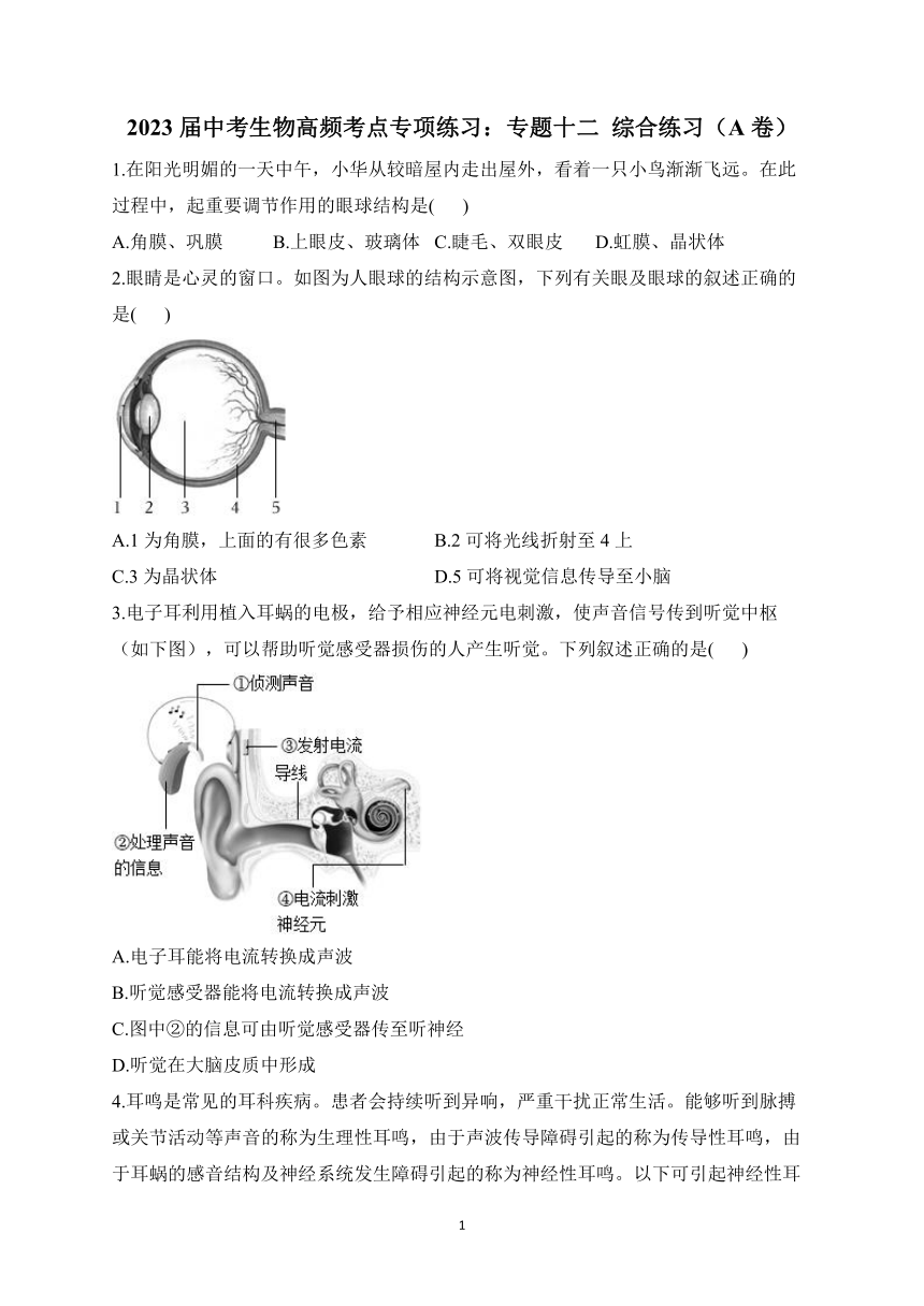 2023届人教版中考生物高频考点专项练习：专题十二 人体生命活动的调节 综合练习（A卷）（含解析）