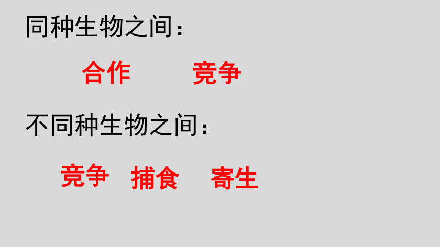 2021--2022学年人教版七年级上册生物1.2.1、生物与环境的关系课件(共33张PPT)