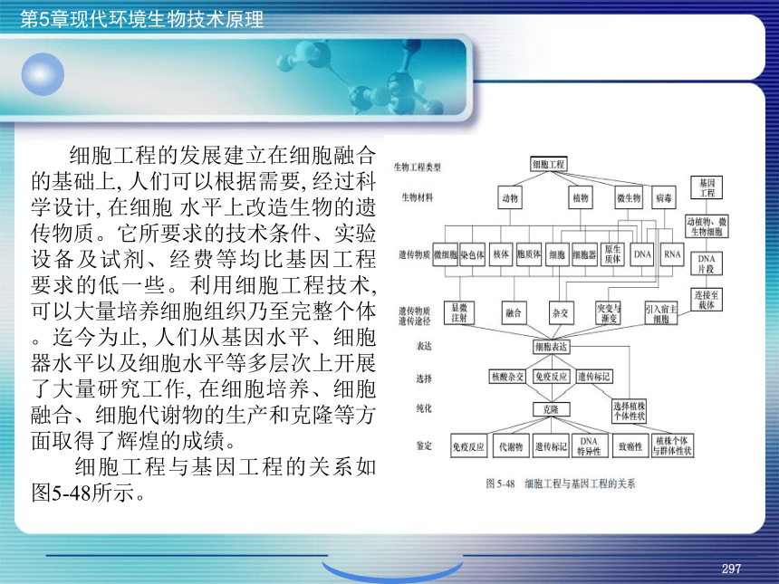 5.现代环境生物技术原理_11 课件(共29张PPT)- 《环境生物化学》同步教学（机工版·2020）