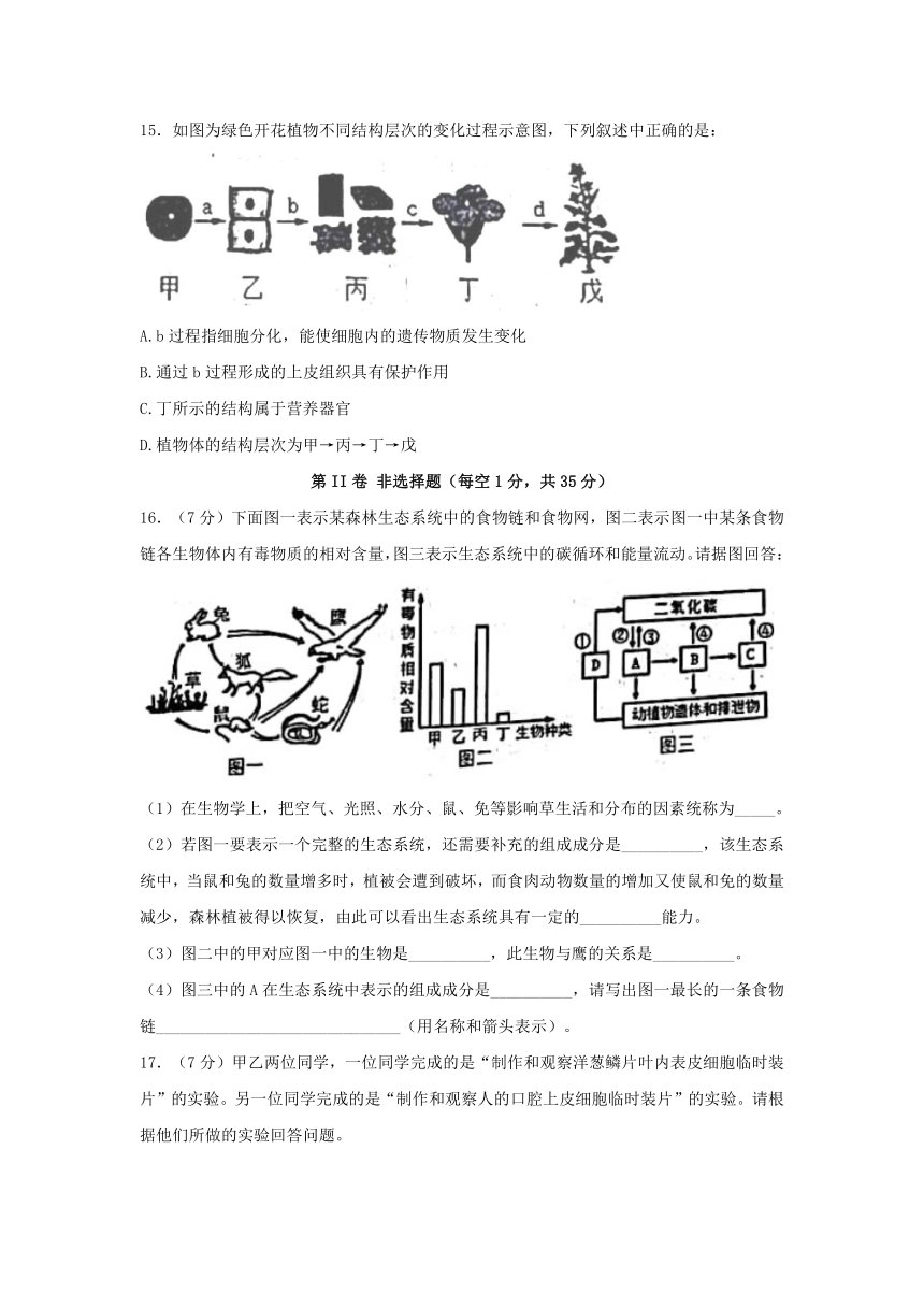 山东省泰安市新泰市2021--2022学年六年级上学期生物期末考试（word版无答案）