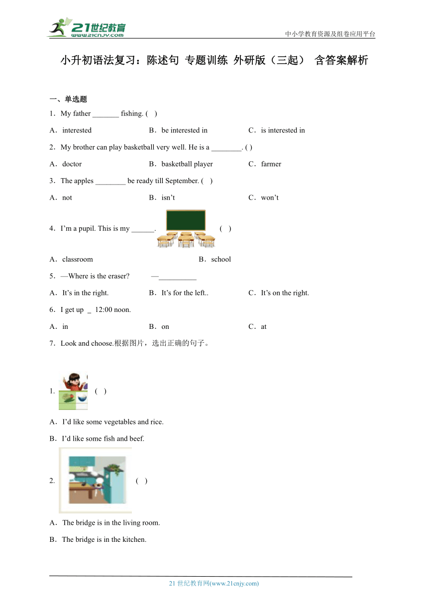 小升初语法复习：陈述句 专题训练 外研版（三起） 含答案解析