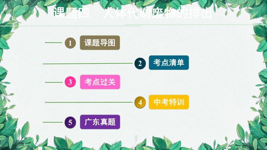 2023年中考生物复习 课题四 人体代谢废物的排出课件(共39张PPT)