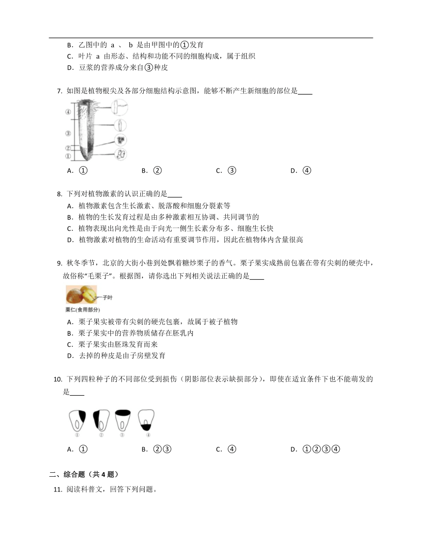 2023届中考生物专题强化训练：被子植物的一生（含答案）