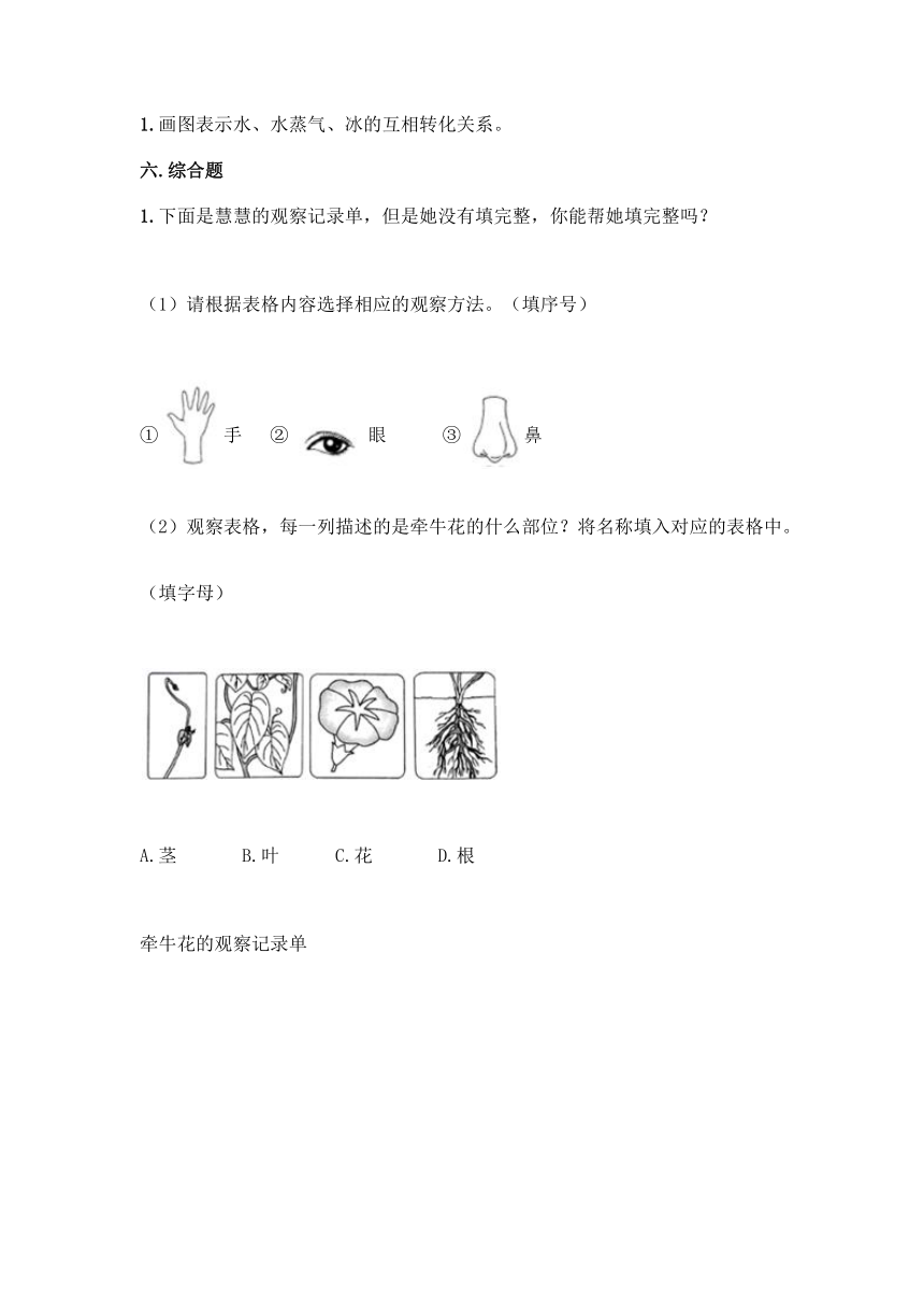 2021-2022学年科学一年级上册第一单元 植物 单元测试卷（含答案）