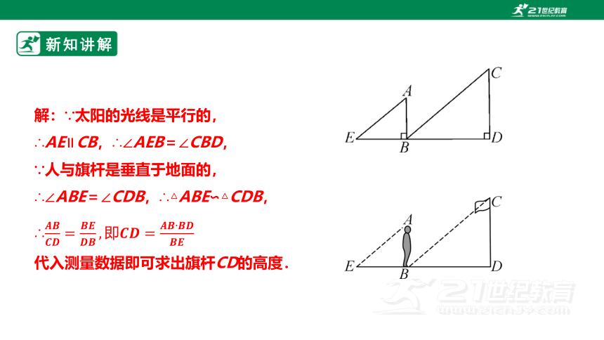 【新课标】4.6利用相似三角形测高 课件（25张PPT）