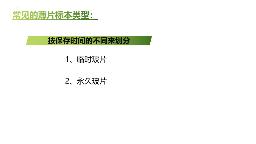 人教版生物七年级上册  2.1.2 植物细胞 2022--2023学年课件 (共32张PPT)