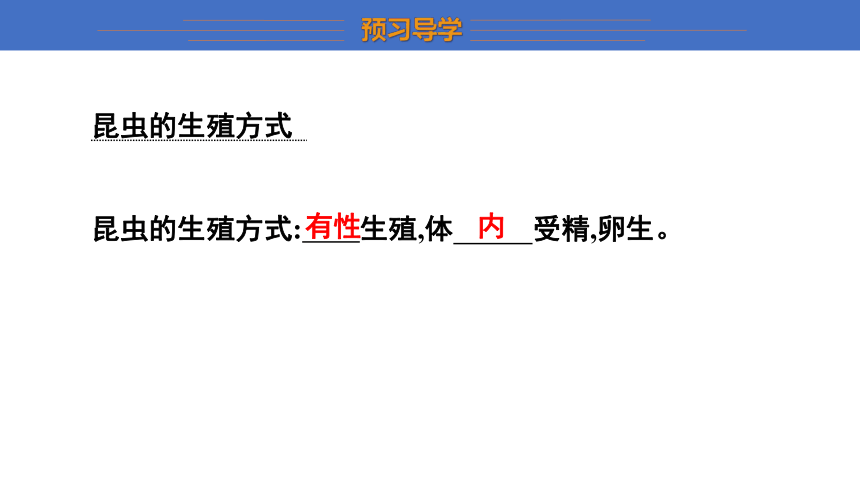 6.1.2 动物的生殖和发育 第1课时课件(共24张PPT)2023-2024学年初中生物冀少版八年级下册