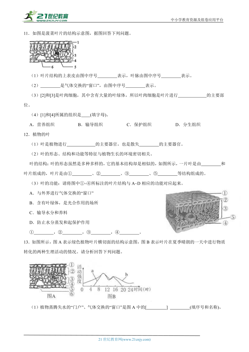 浙教版八下第十七周八下周末专题训练4.4-4.6茎与叶的结构和功能（含解析）