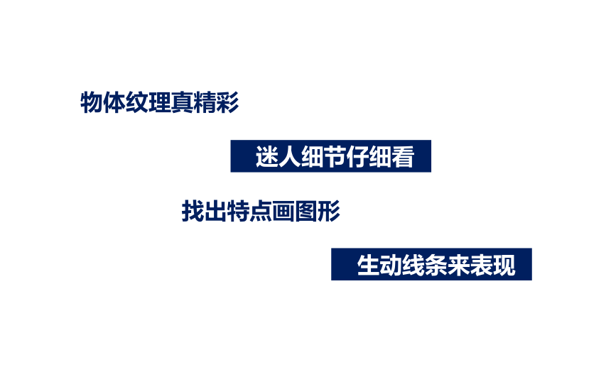 三年级下册美术课件  1.1 迷人的细节  沪教版 (共11张PPT)