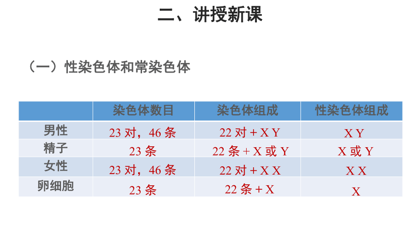 苏教版八年级下册 第三节 人的性别决定 教学课件（共11张PPT）