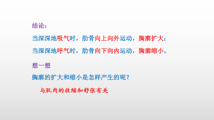 2021-2022学年人教版生物七年级下册4.3.2发生在肺内的气体交换课件(共24张PPT)