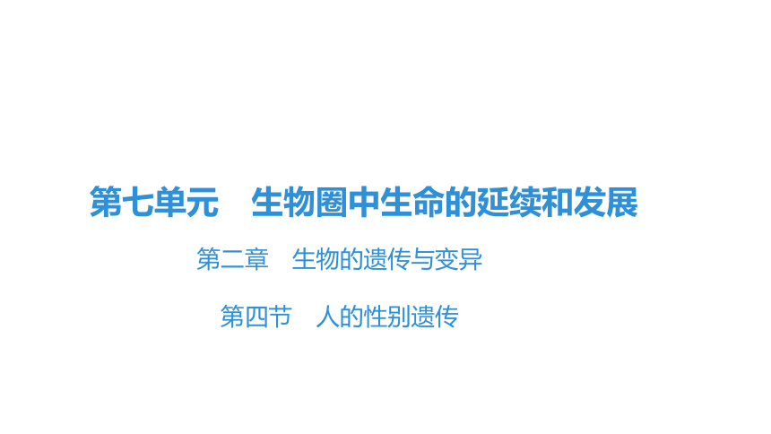 7.2.4 人的性别遗传 课件(共26张PPT)2023年春人教版八年级生物下册