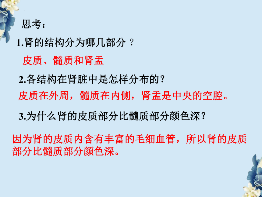 3.4.1尿的形成和排出课件(共26张PPT) 济南版生物七年级下册