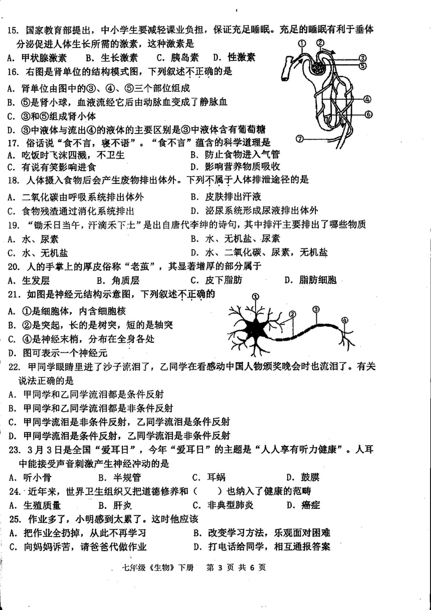 广东省湛江市雷州市第二中学2022-2023学年下学期七年级期末生物（PDF版无答案）