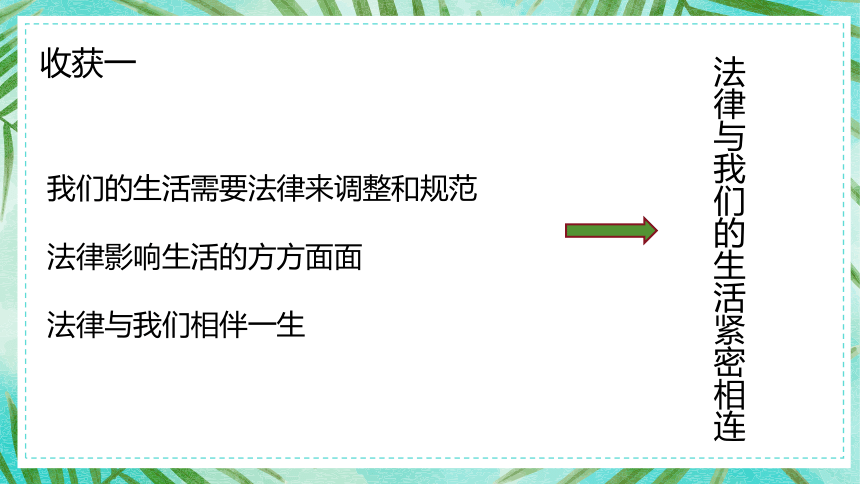 9.1 生活需要法律 课件(共20张PPT)-2023-2024学年统编版道德与法治七年级下册